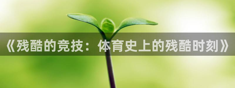 球客岛