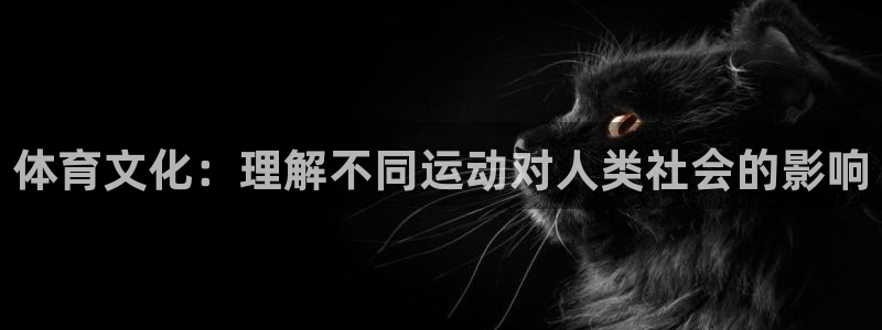 球客岛