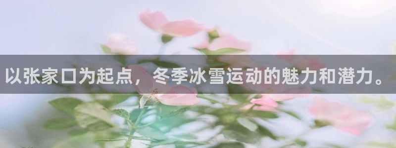 球客岛