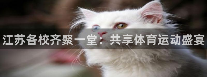 球客岛