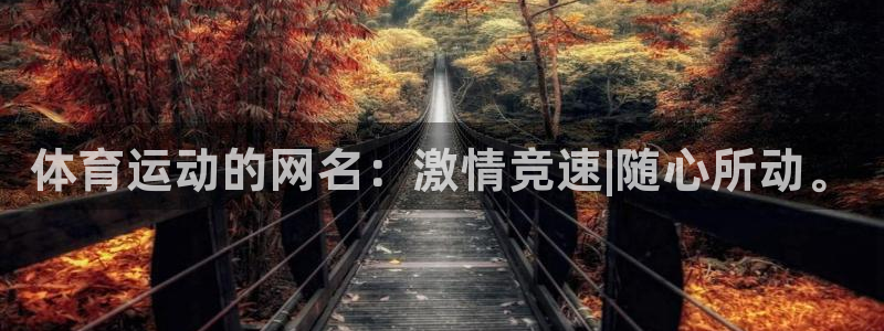 球客岛