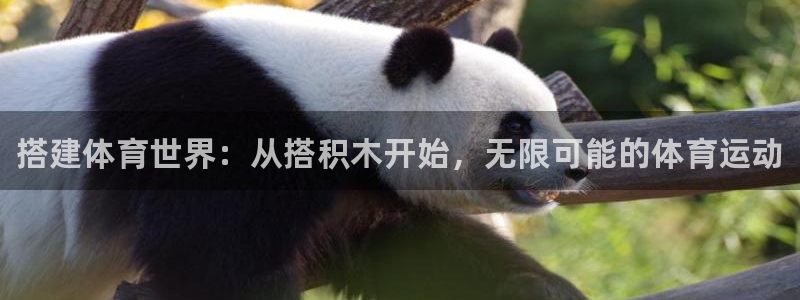 球客岛