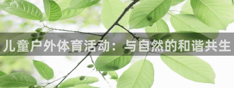 球客岛
