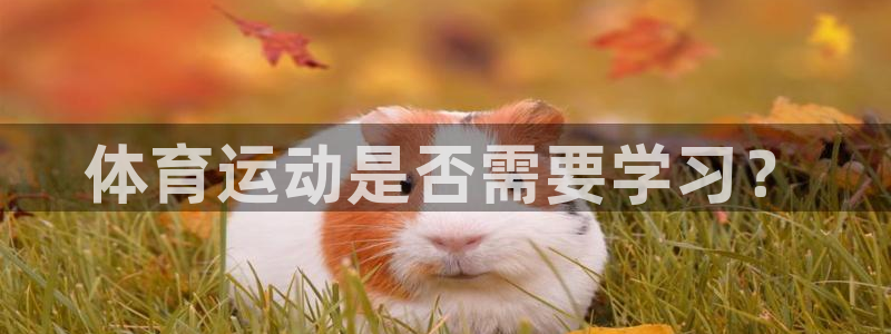 球客岛