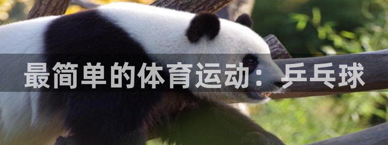 球客岛