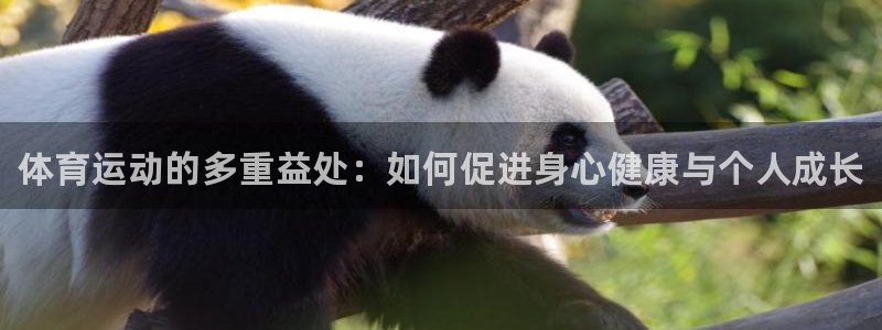 球客岛