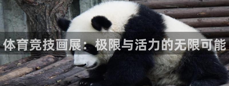 球客岛