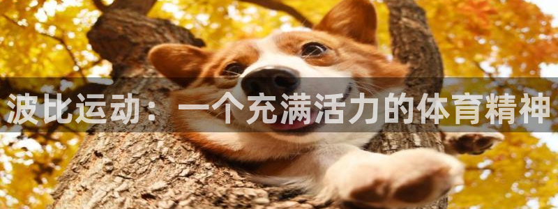 球客岛