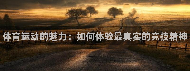 球客岛