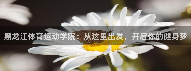 球客岛