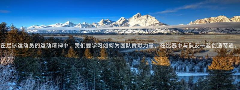 球客岛