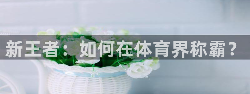 球客岛