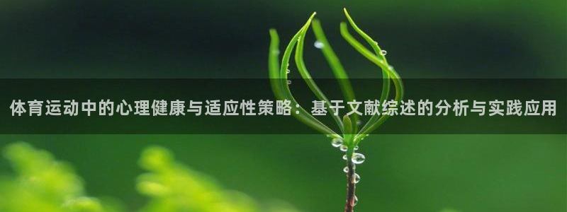 球客岛