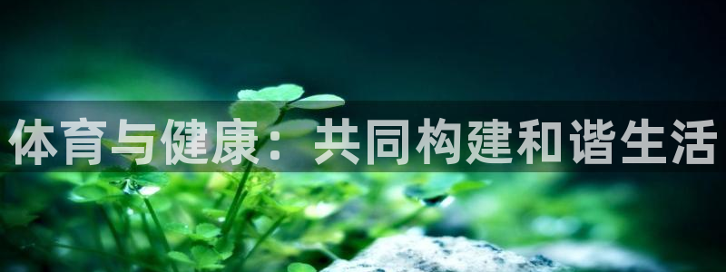 球客岛