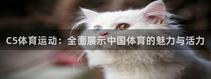 球客岛