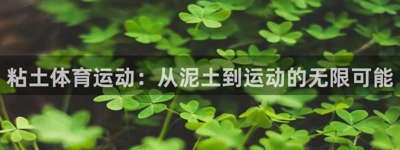 球客岛