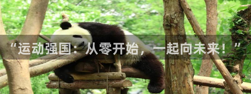 球客岛